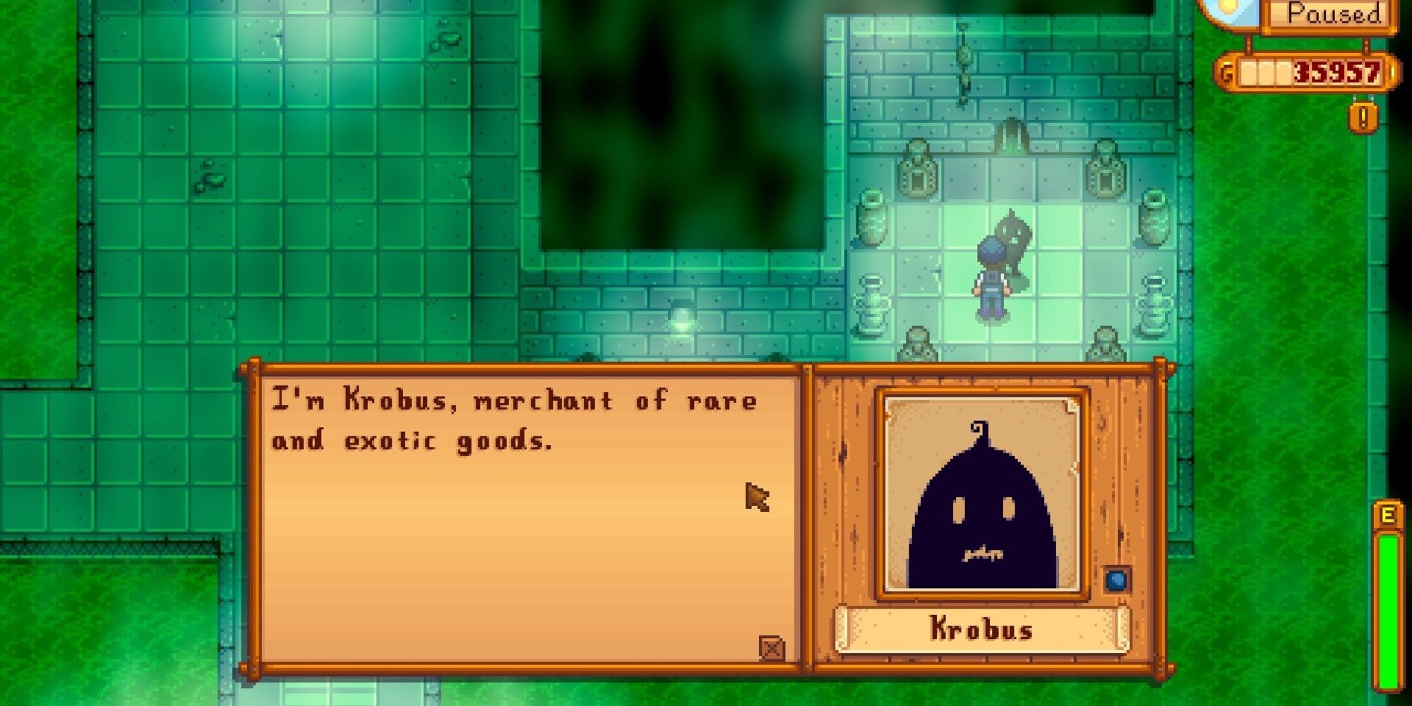 Krobus in Stardew Valley Sewers talking to player