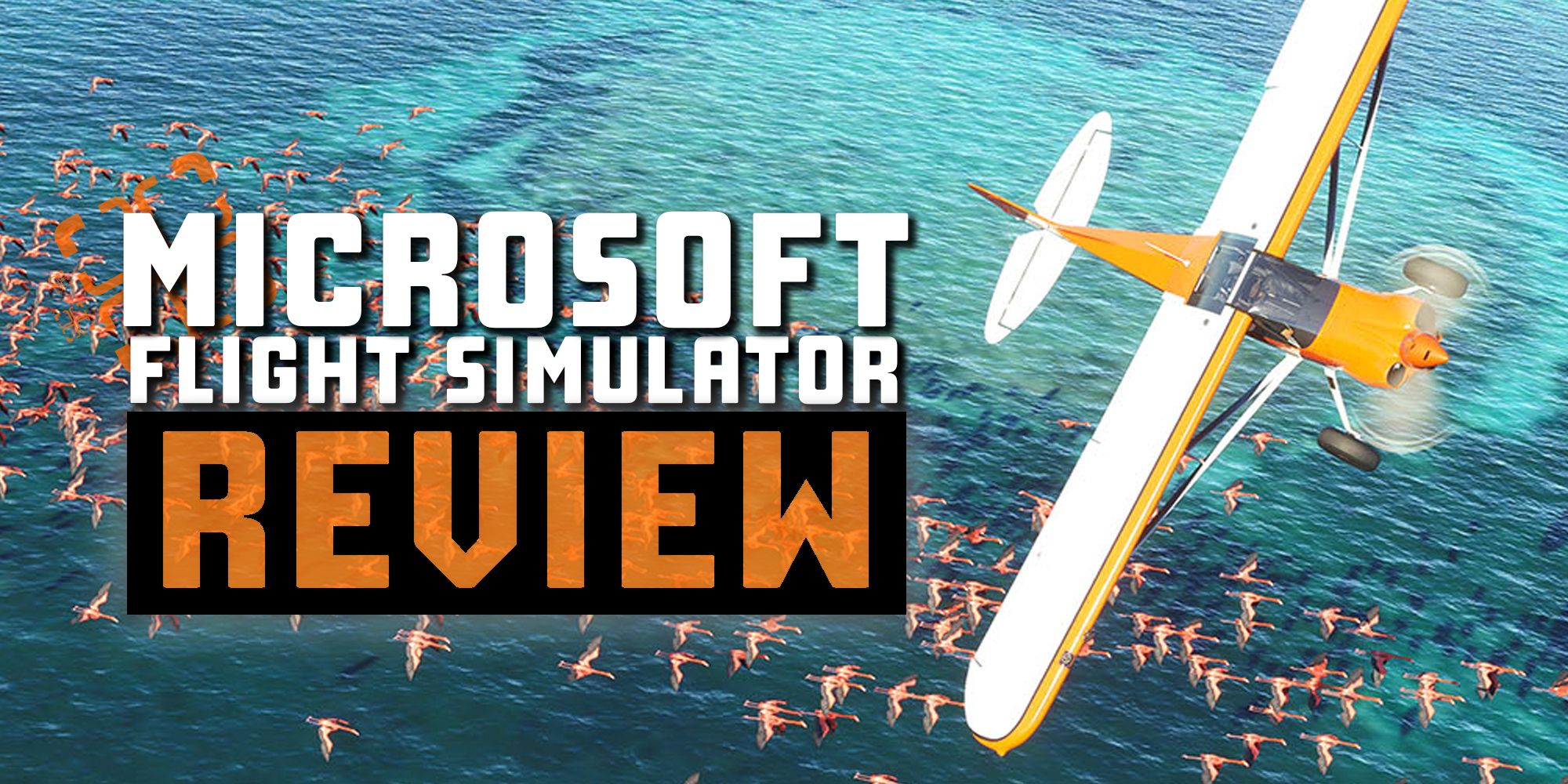 Microsoft Flight Simulator Review: Around the World on a PC