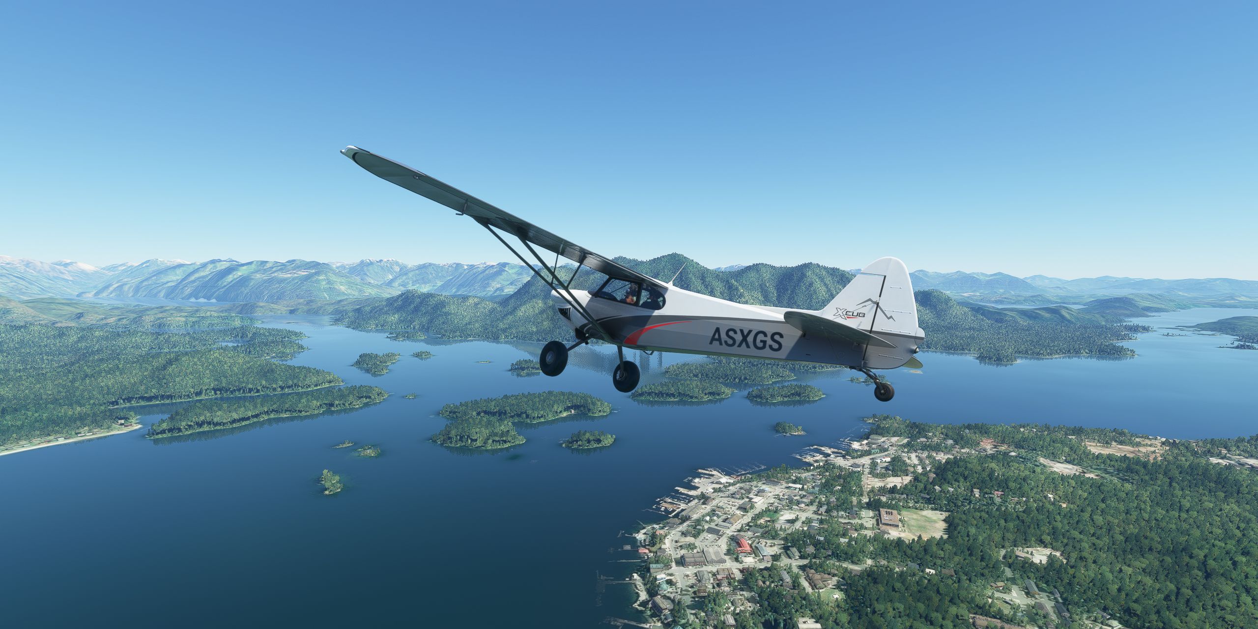 Microsoft Flight Simulator 2020 beginner guide: Tips to help you start  flying solo