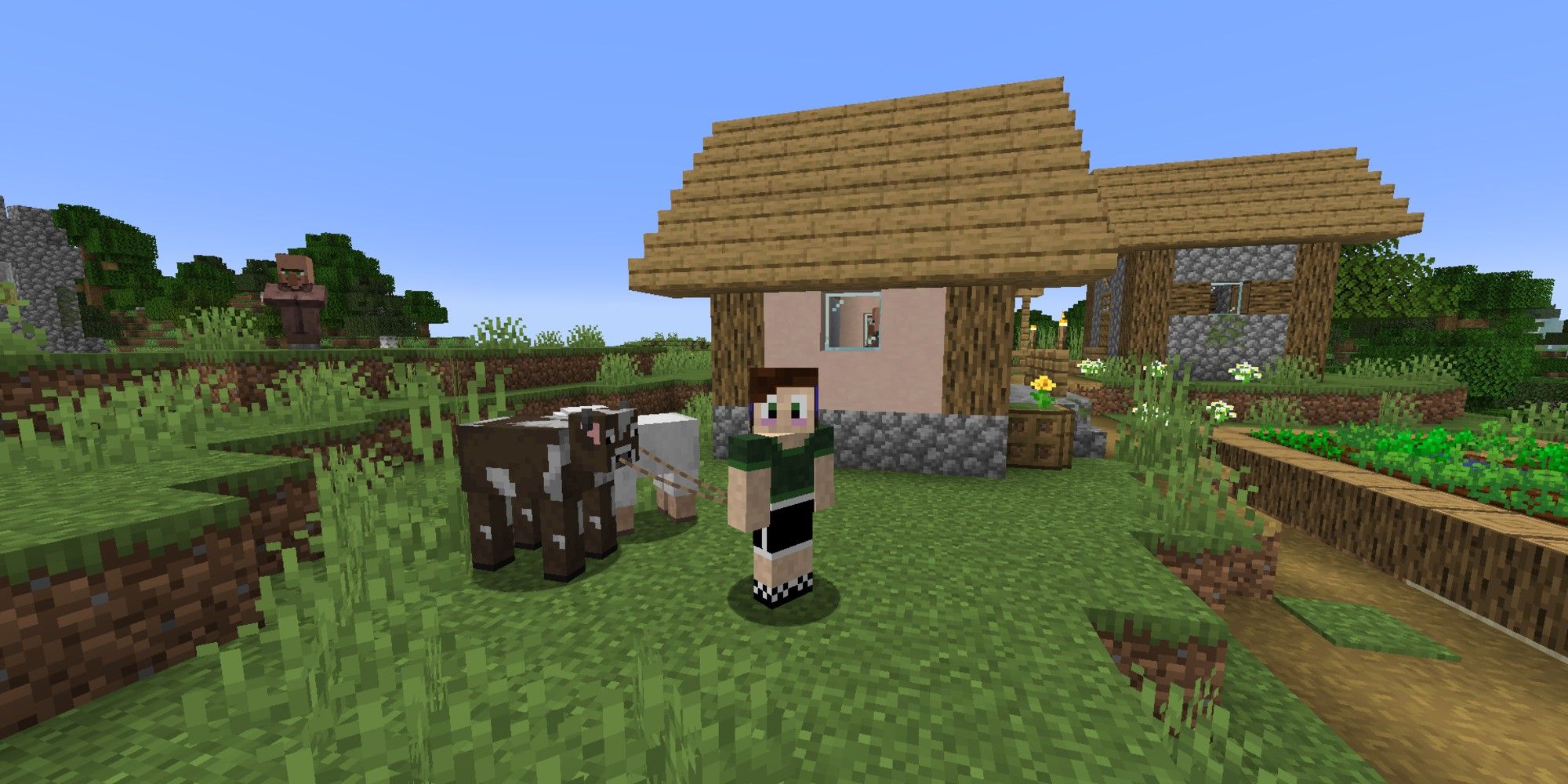 Minecraft Lead On Sheep And Cow
