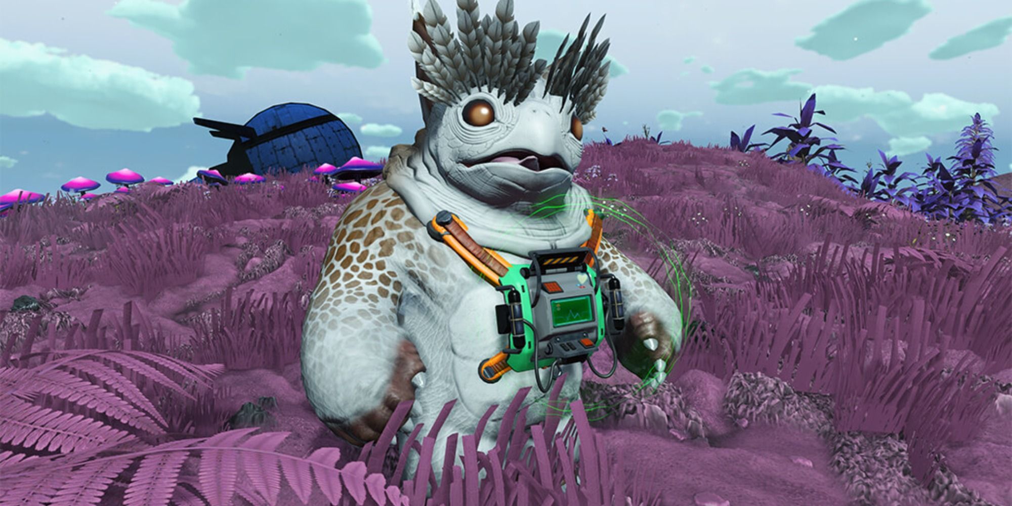 No Mans Sky 20 Of The Best Pets Ranked