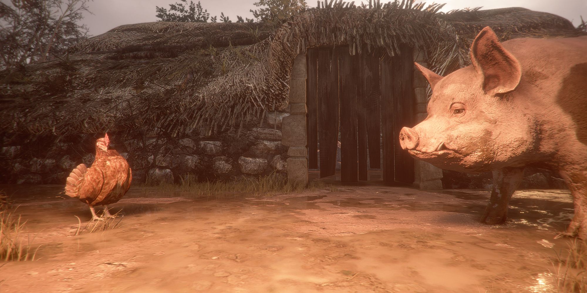 Plague tale pig and chicken