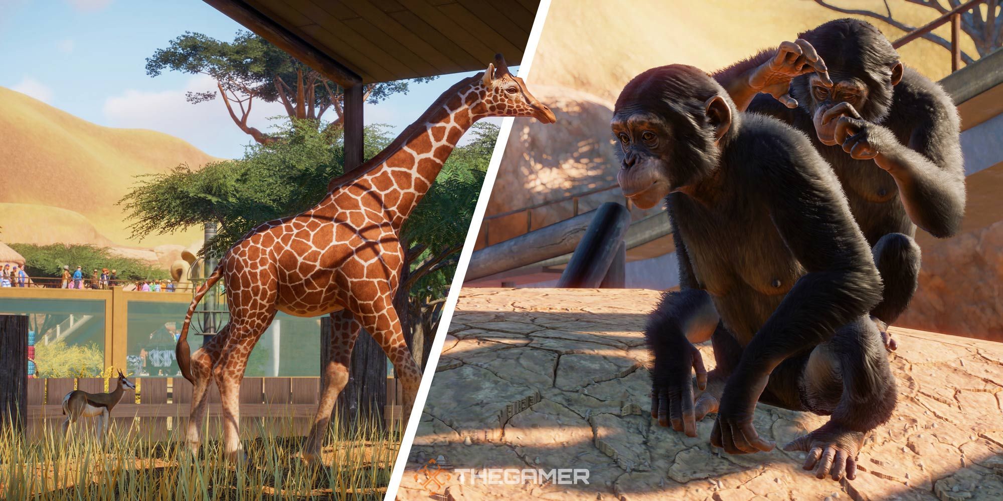 Planet Zoo: How To Install And Use Mods