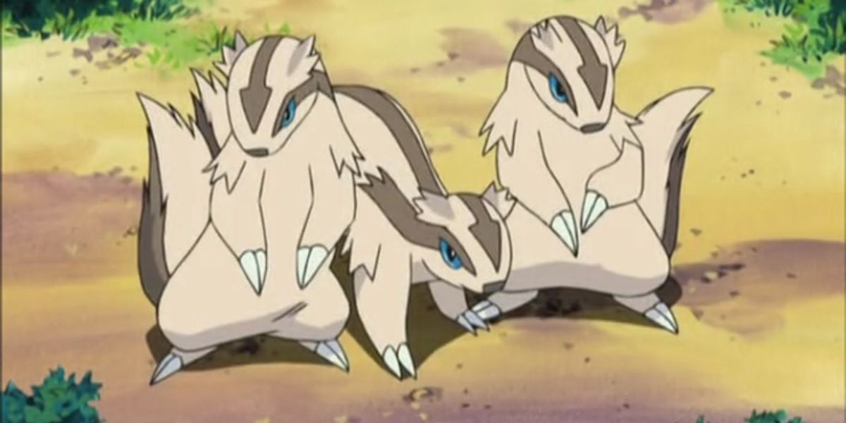 Pokemon A pack of Linoone from the anime