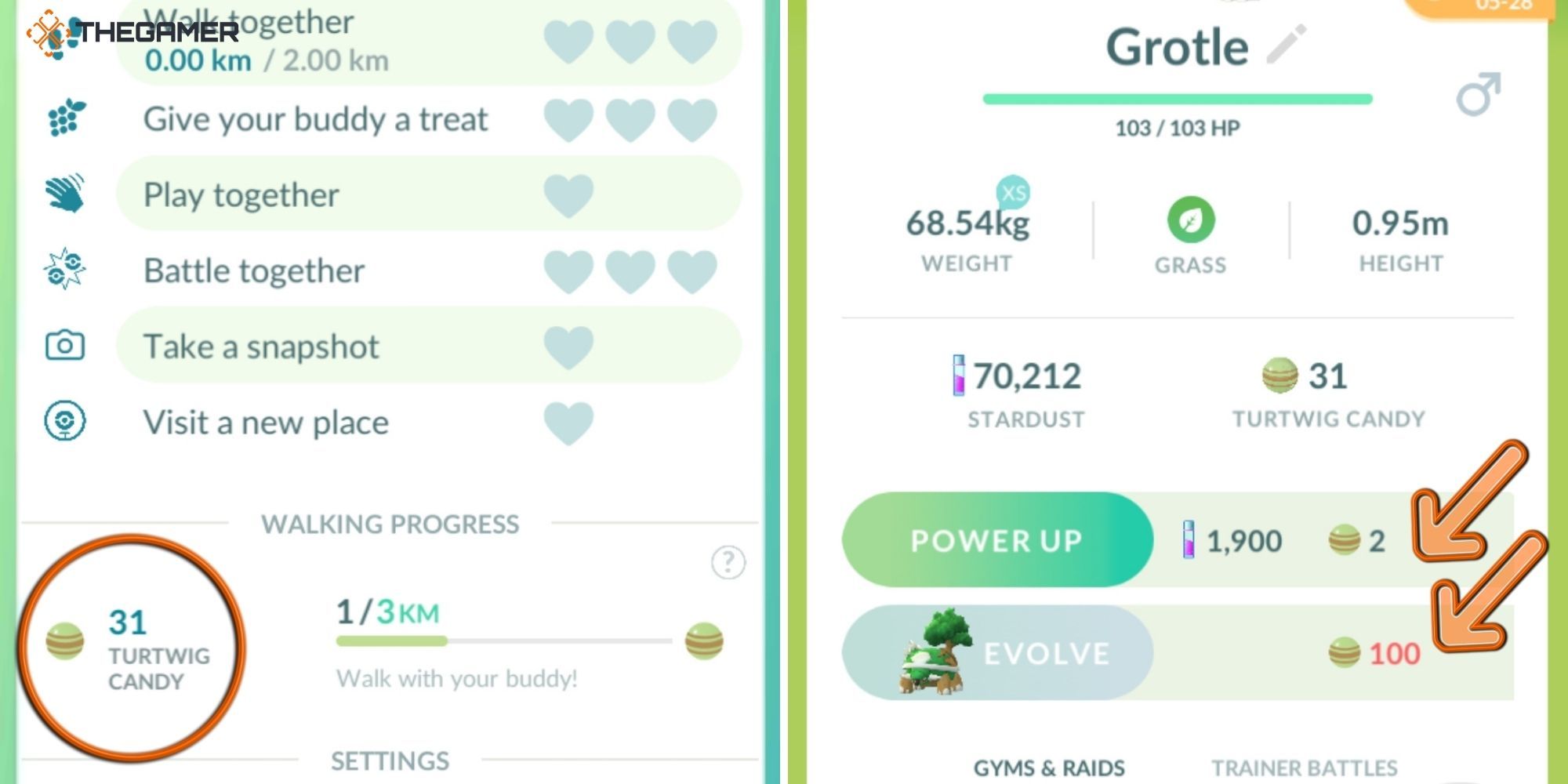 Pokemon Go - Buddy Pokemon (instructional image) (right candy in the buddy menu) (left candy in the pokemon's summary)