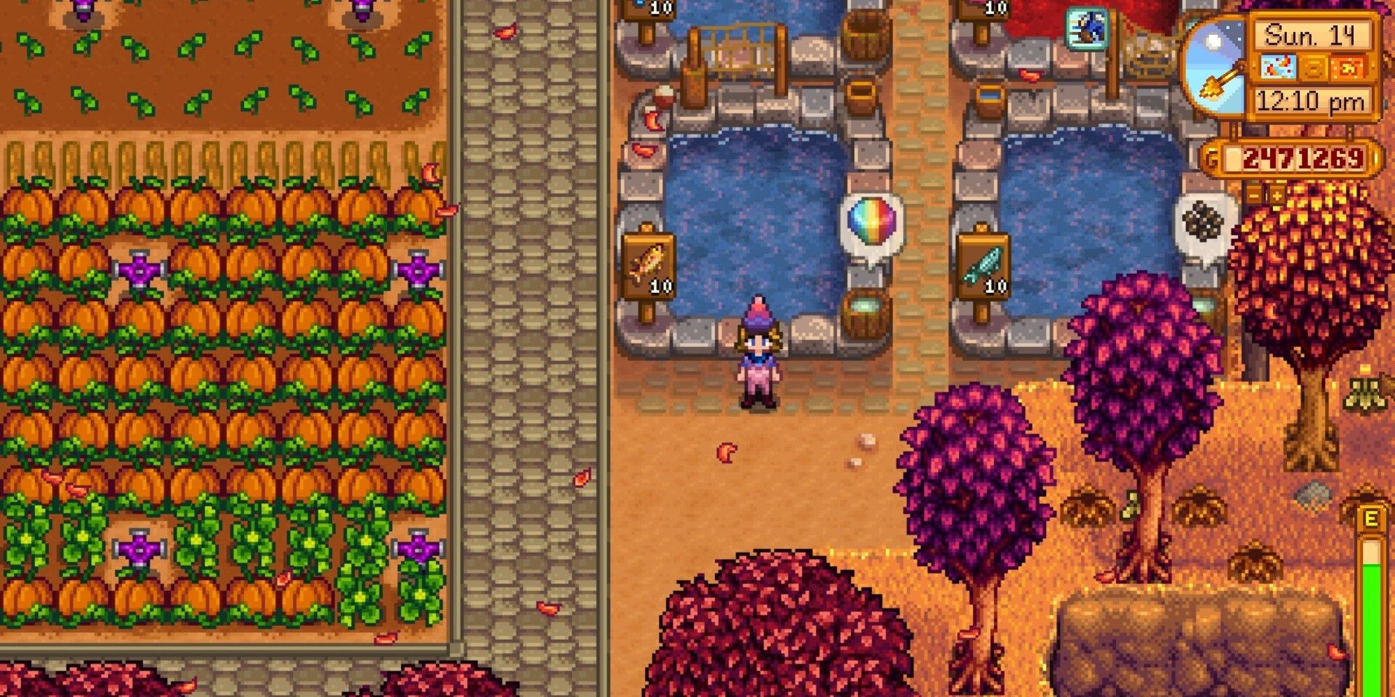 player standing near fish pond with rainbow trout after producing a rainbow trout