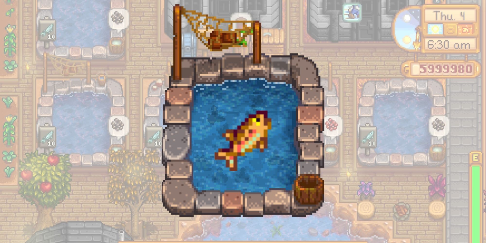 stardew valley Rainbow Trout fish Pond