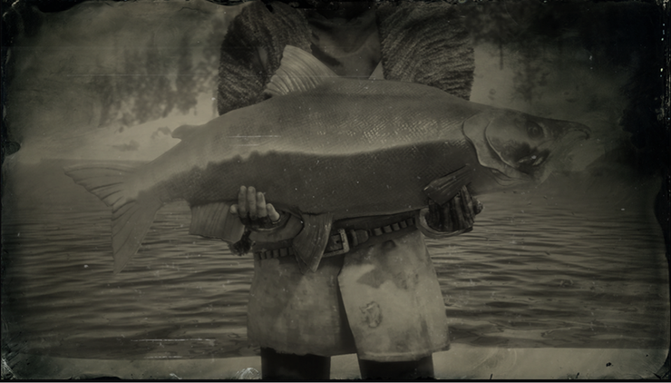 How To Get Succulent Fish Meat In Red Dead Online