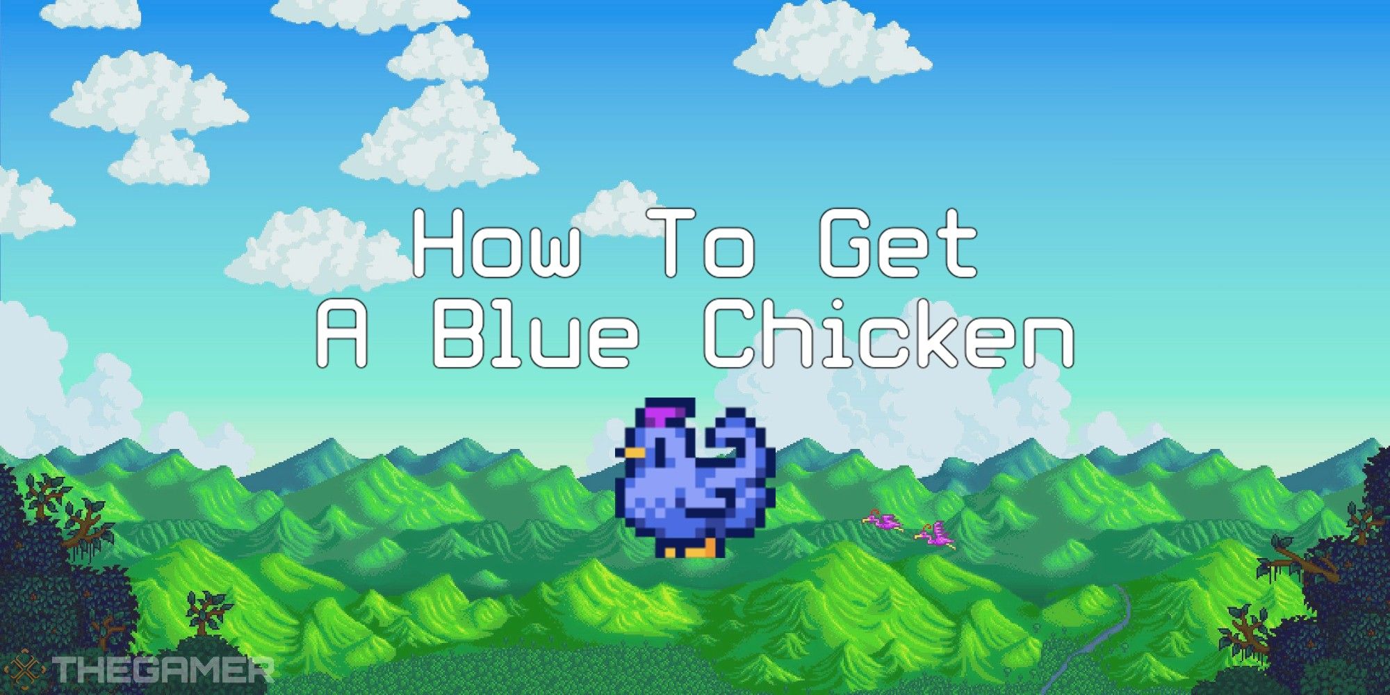 stardew valley how to get a blue chicken with chicken and landscape