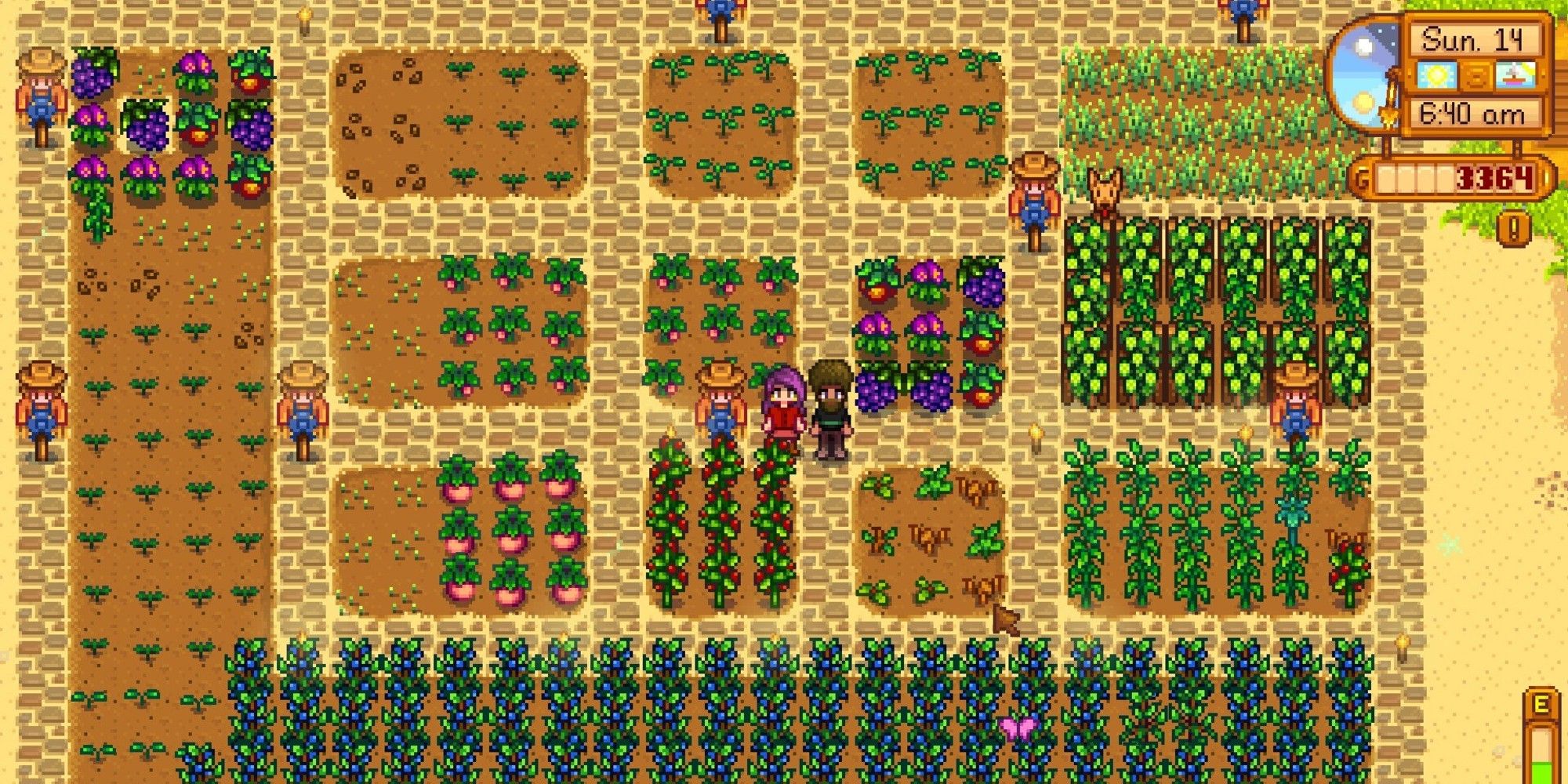 two players standing in crop fields