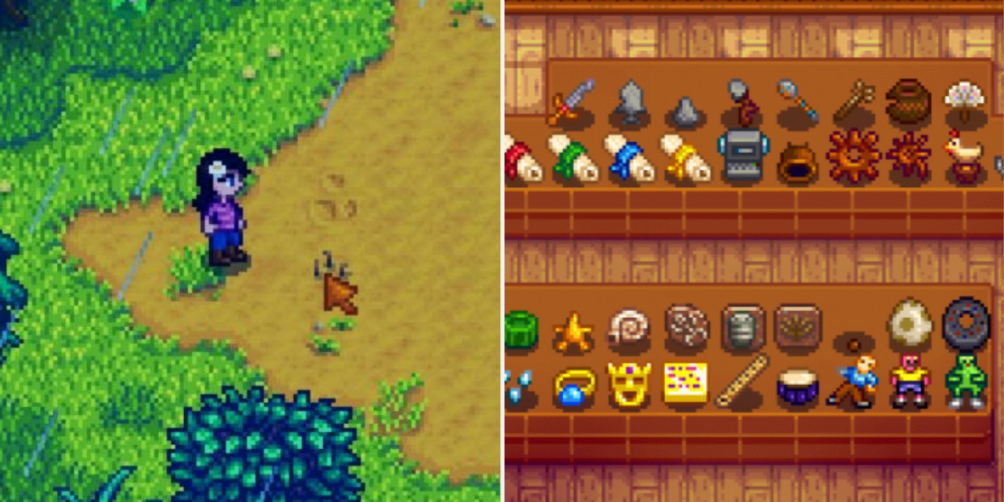 Stardew Valley Artifact Dig Spot And Artifacts On Display At Museum