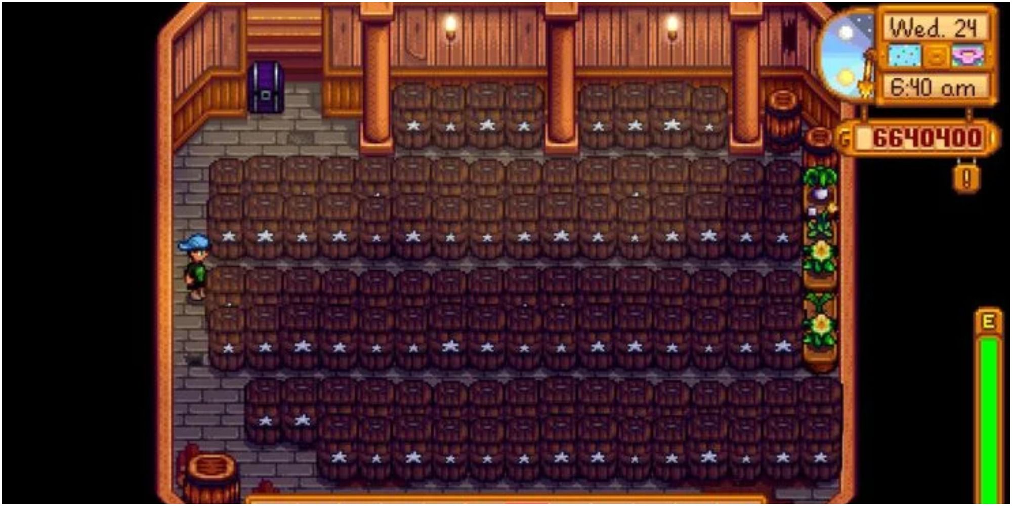 Stardew Valley Every House Upgrade And Renovation