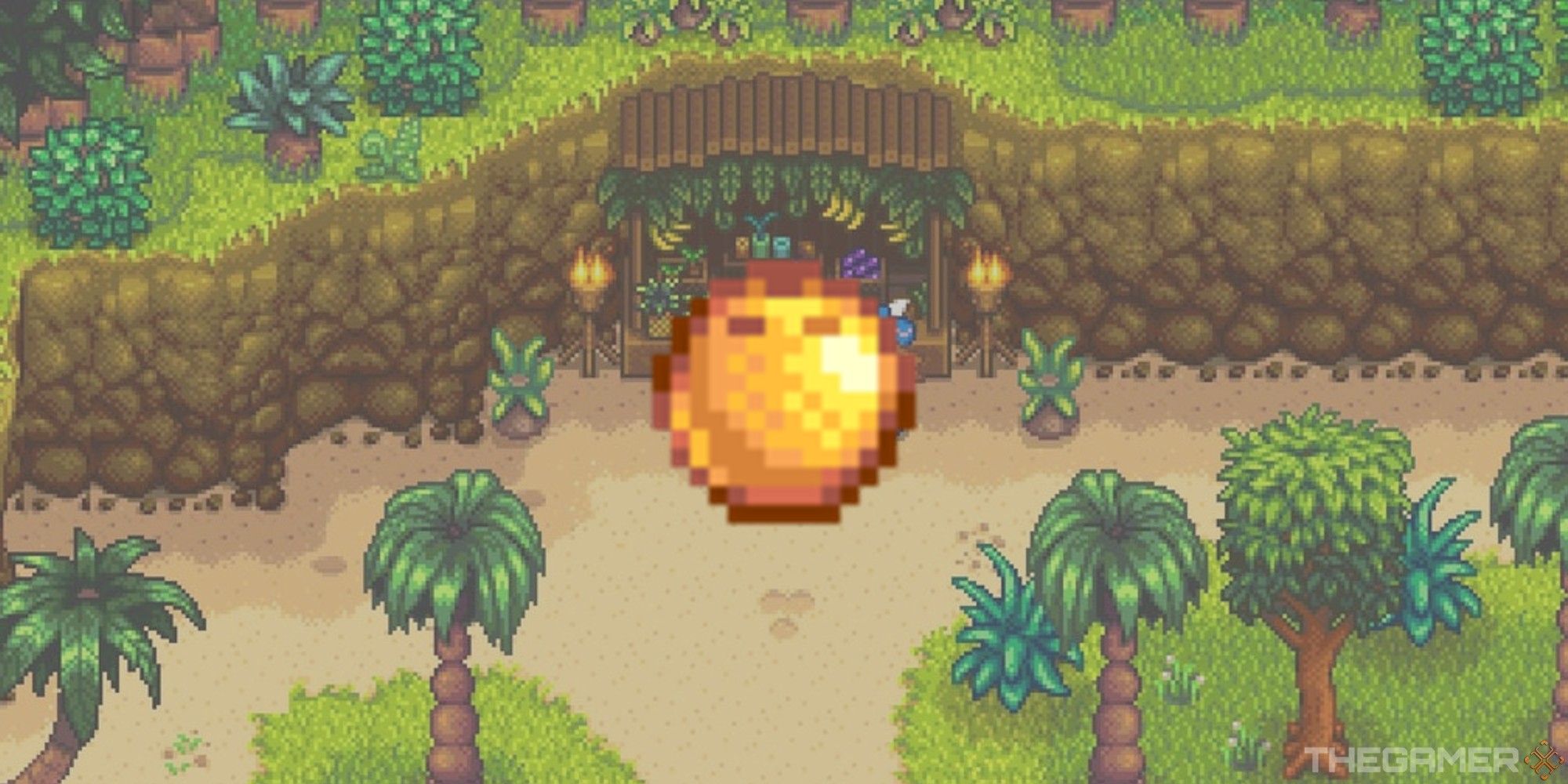 island trader location in stardew valley with golden coconut edited into image