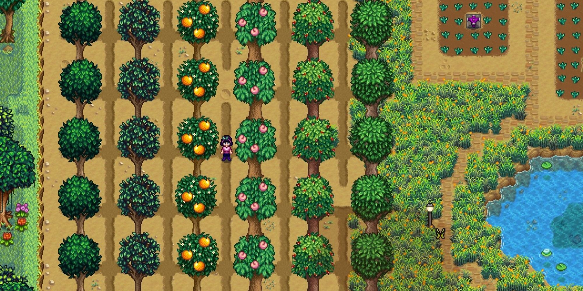 Stardew Valley a large orchard full of fruit trees