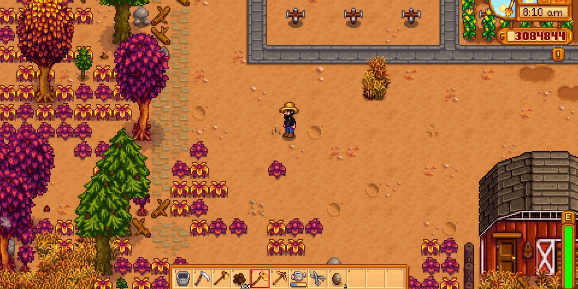 Stardew Valley Player Standing In Front Of Artifact Spot