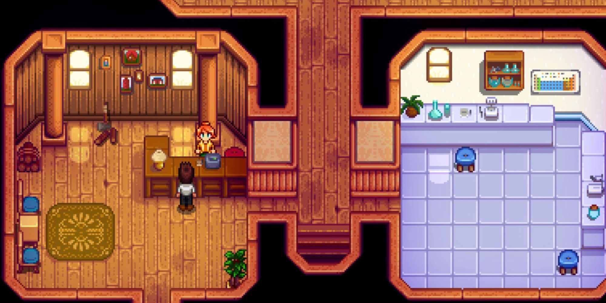 player talking to Robin in her shop