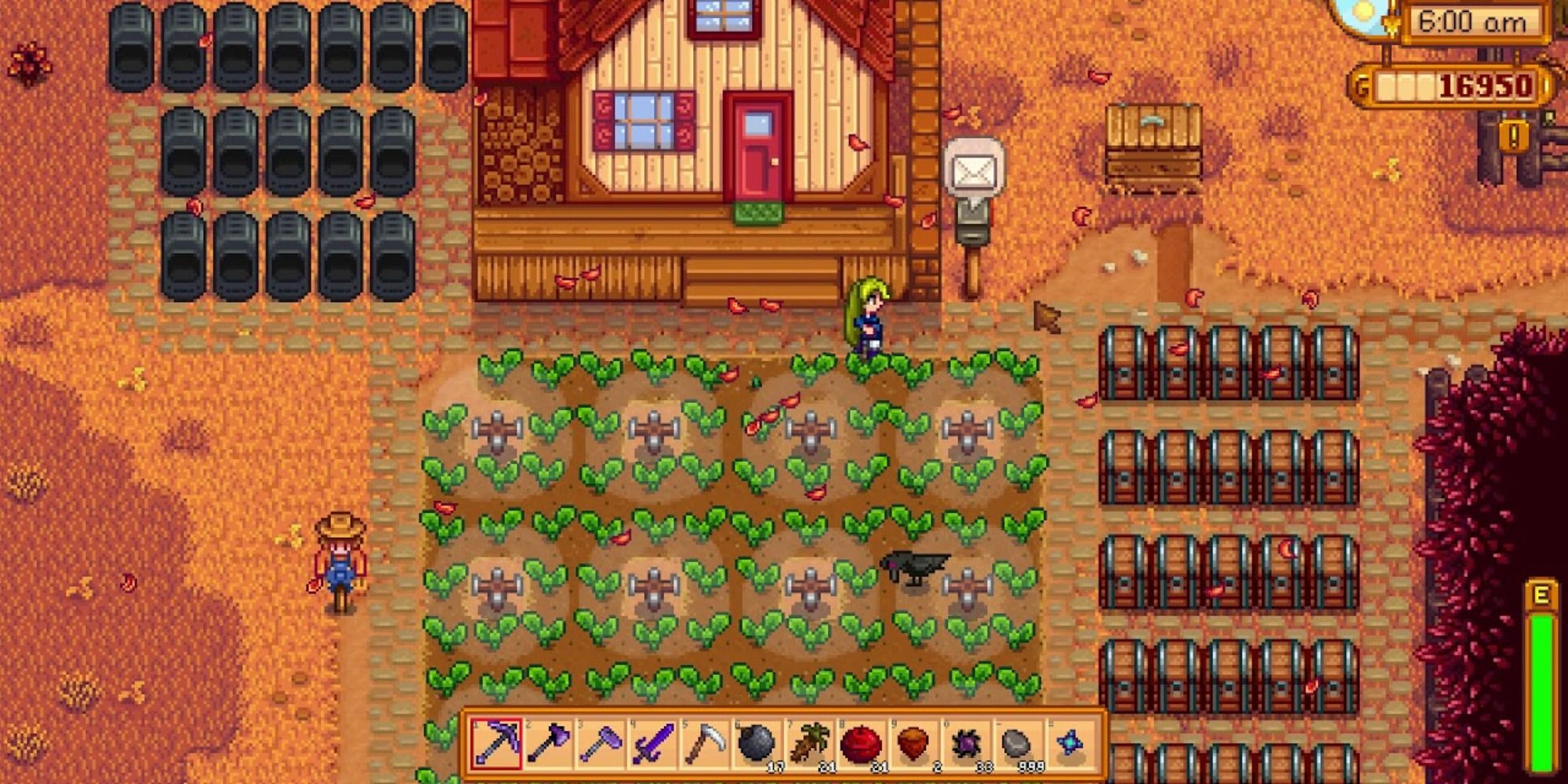Stardew Valley crow eating some crops because the scarecrow is too far away