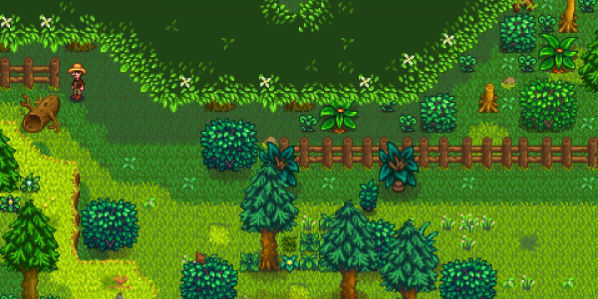 Cindersap Forest Stardew Valley Map