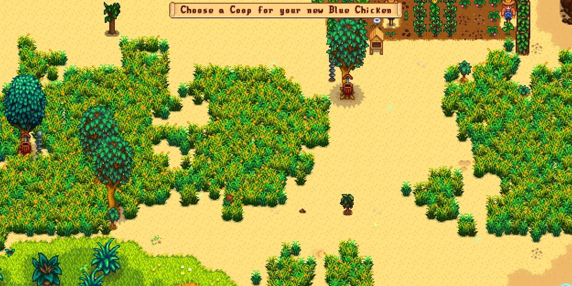 farm view with text prompting player to choose a coop for their blue chicken