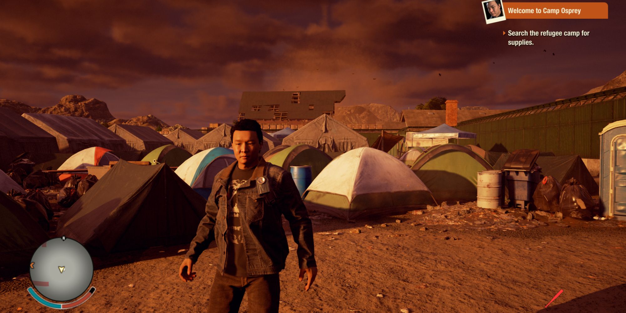 is state of decay 2 split screen