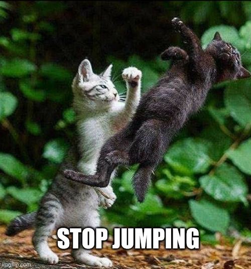 Stop Jumping Cat Meme