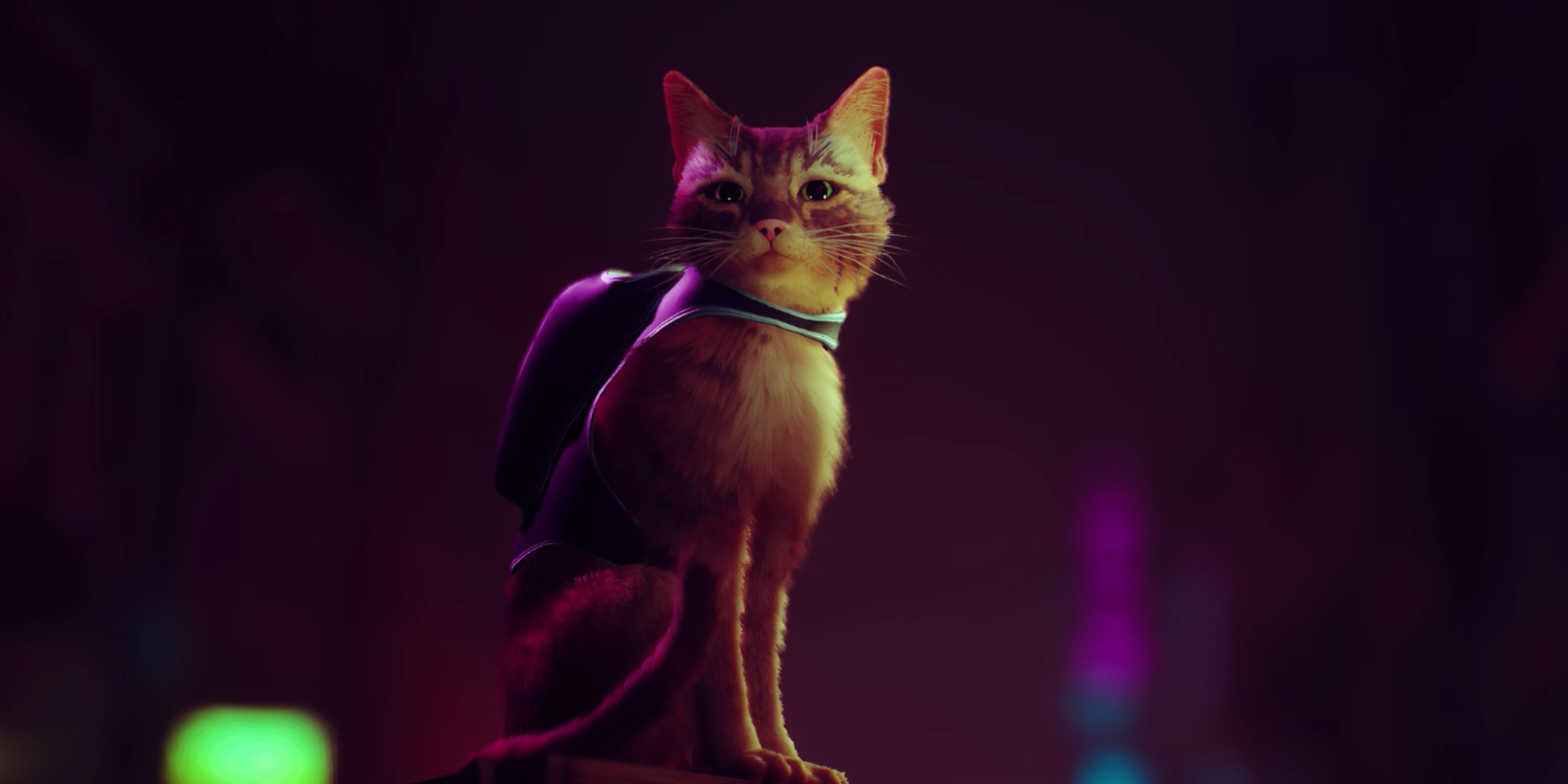 Does the cat die in 'Stray?' How the buzzy indie game speaks to a larger  trend