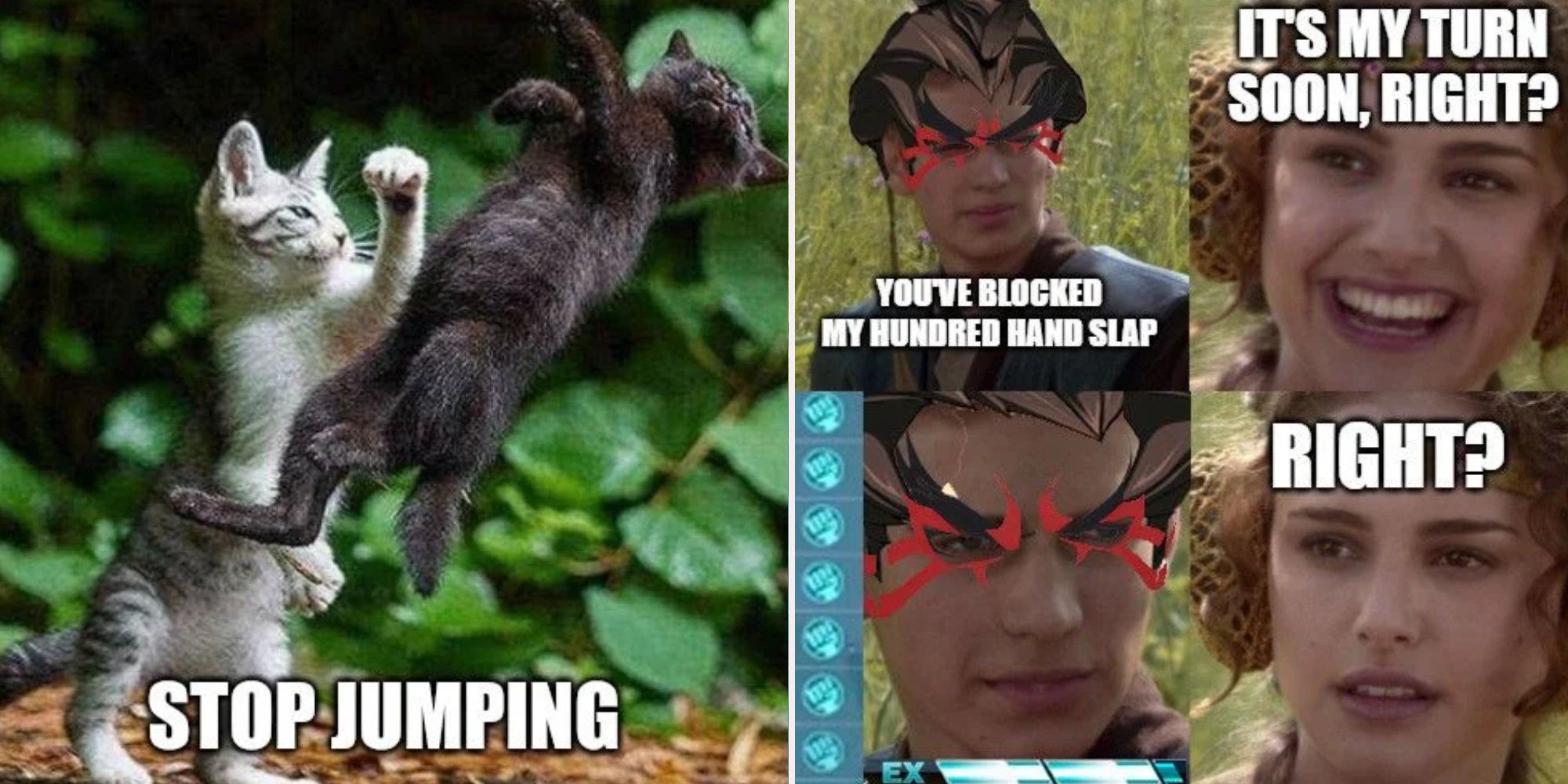 Street Fighter memes jumping cat and padme hundred yard slap