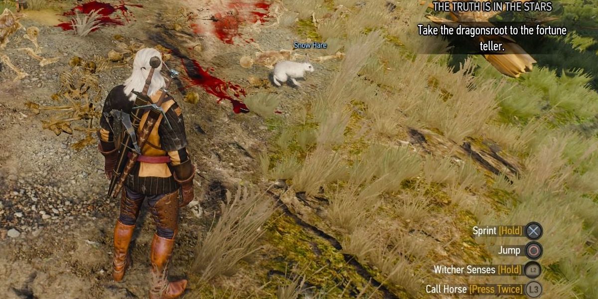 The Witcher 3 geralt nearby a snow hare that is a reference to monty python