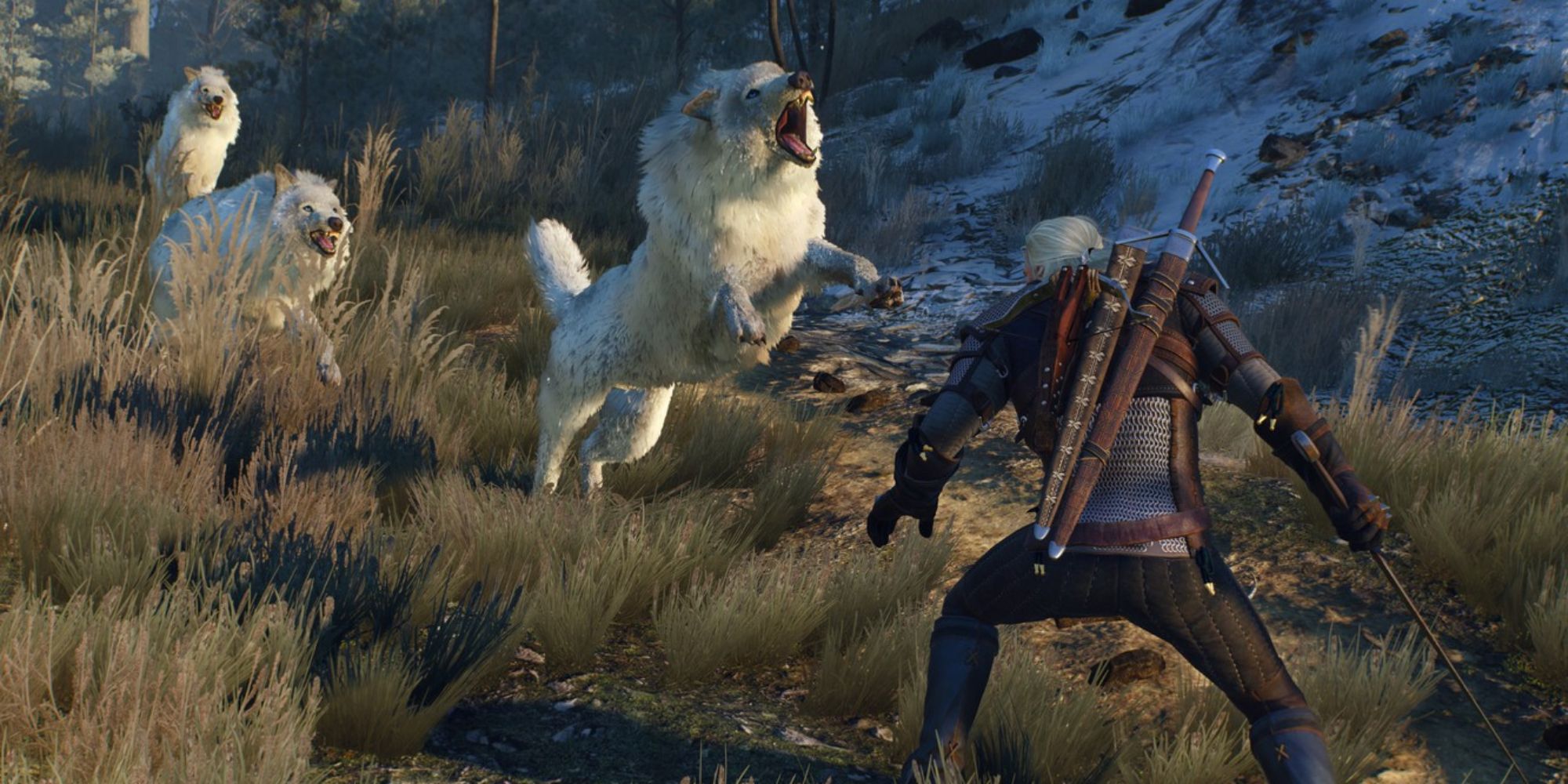 Witcher 3 Screenshot Of Geralt Fighting White Wolves