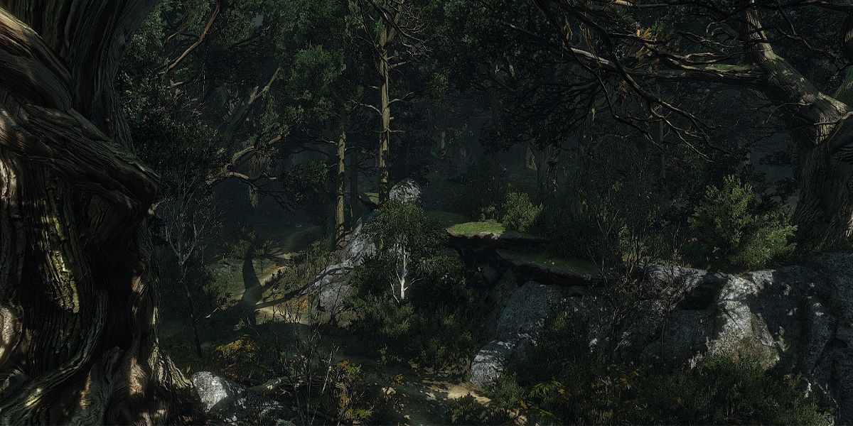 Witcher 3 Without A Trace a look at deadwight wood