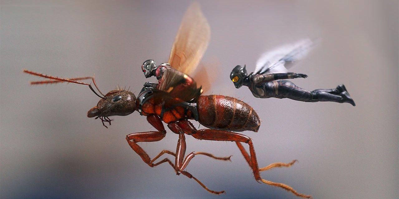 Ant-Man and the Wasp flying super small