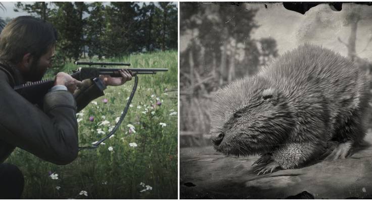 Pj8drsghnlkrdm - star hunter rifle roblox