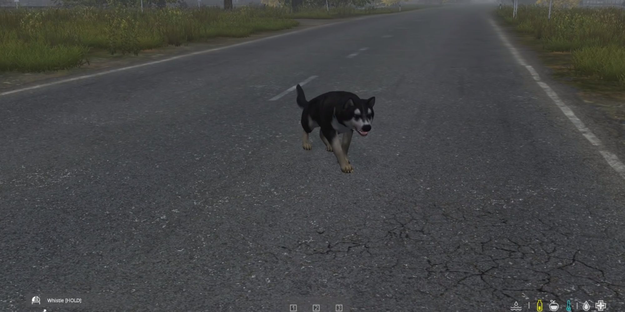 DayZ: Dog Follower In Passive Mode