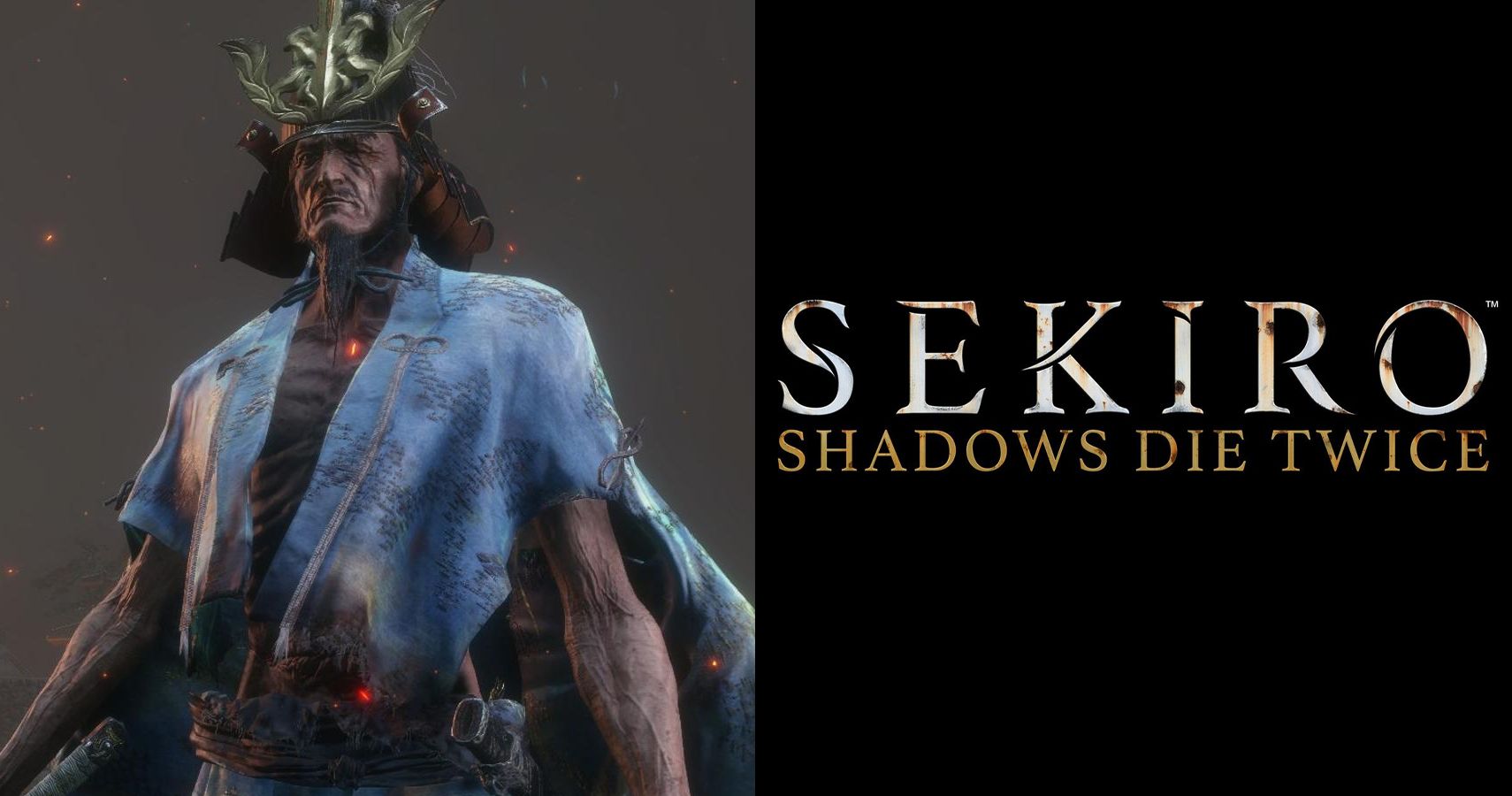 modbydeligt silhuet Helligdom Sekiro: 10 Tips For Beating The Lord Ashina Final Boss Fight