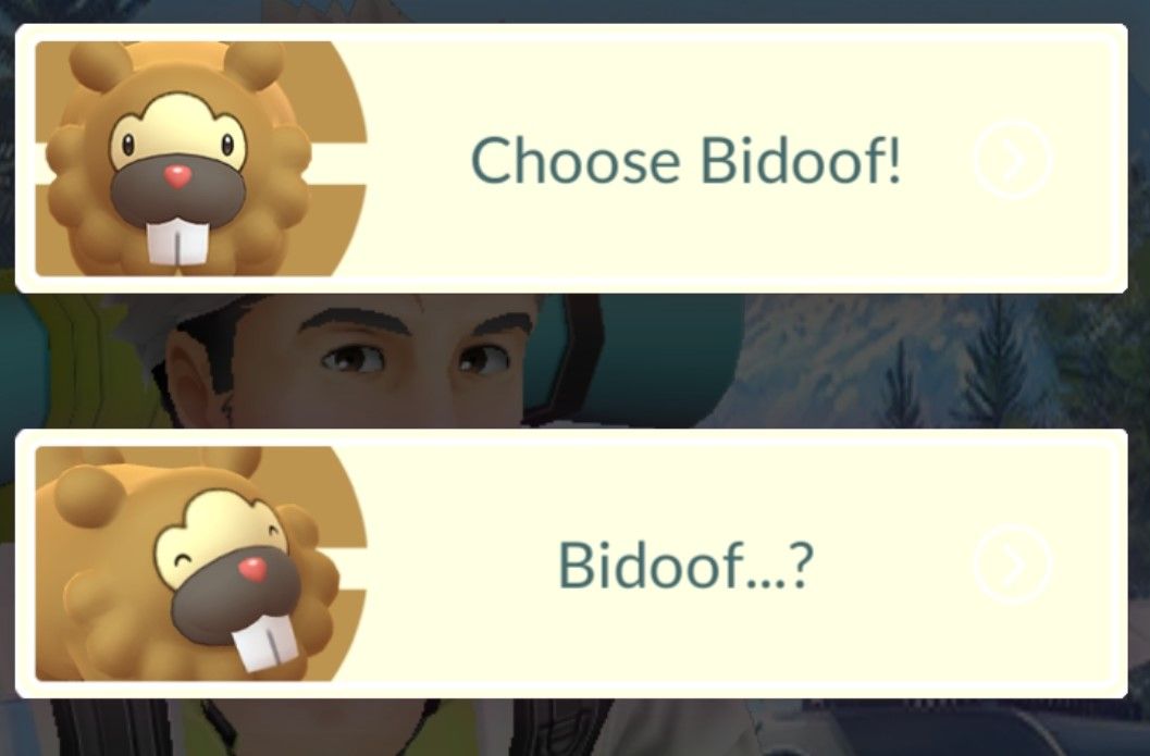 pokemon go bidoof choice