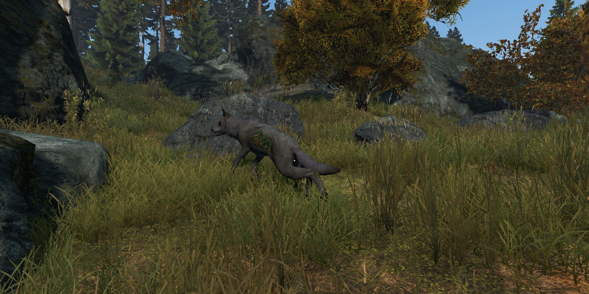 DayZ: Radioactive Beast Level Wolf Spotted In Wild