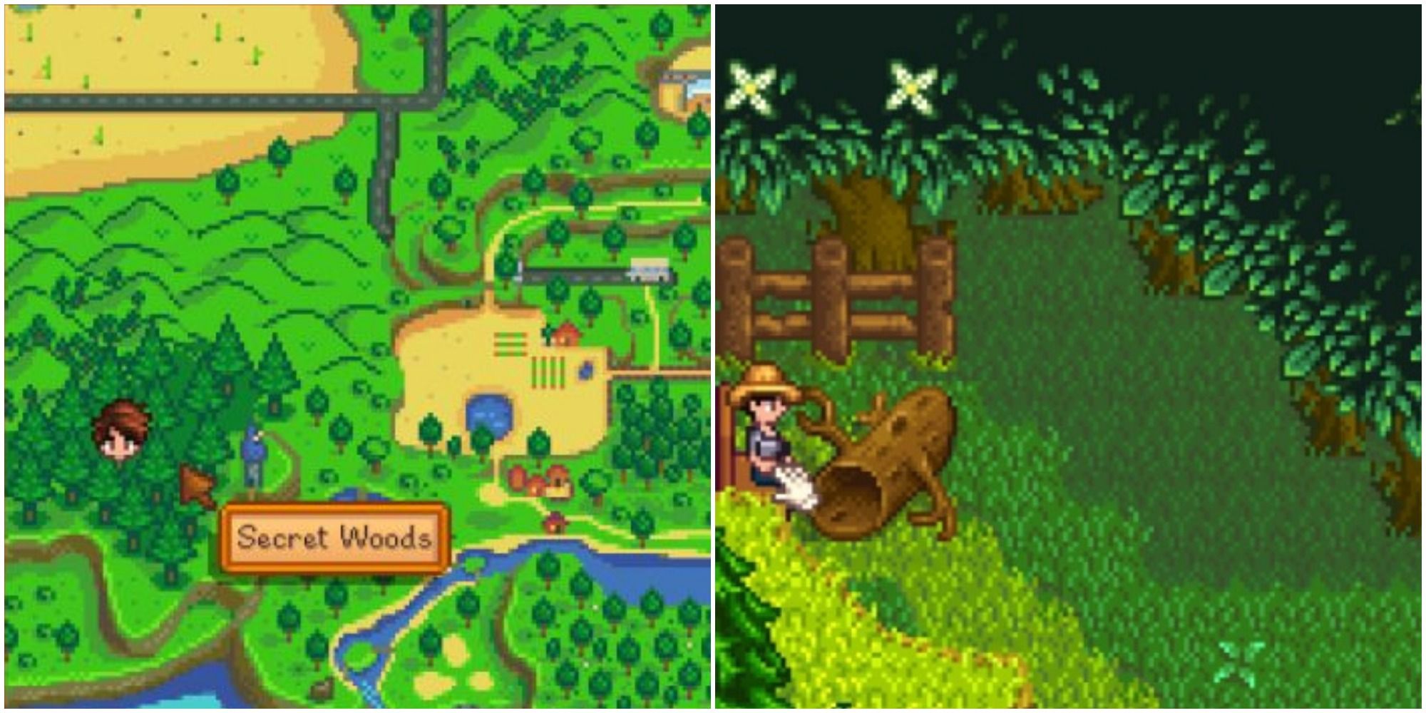 secret woods without iron axe guide stardew valley