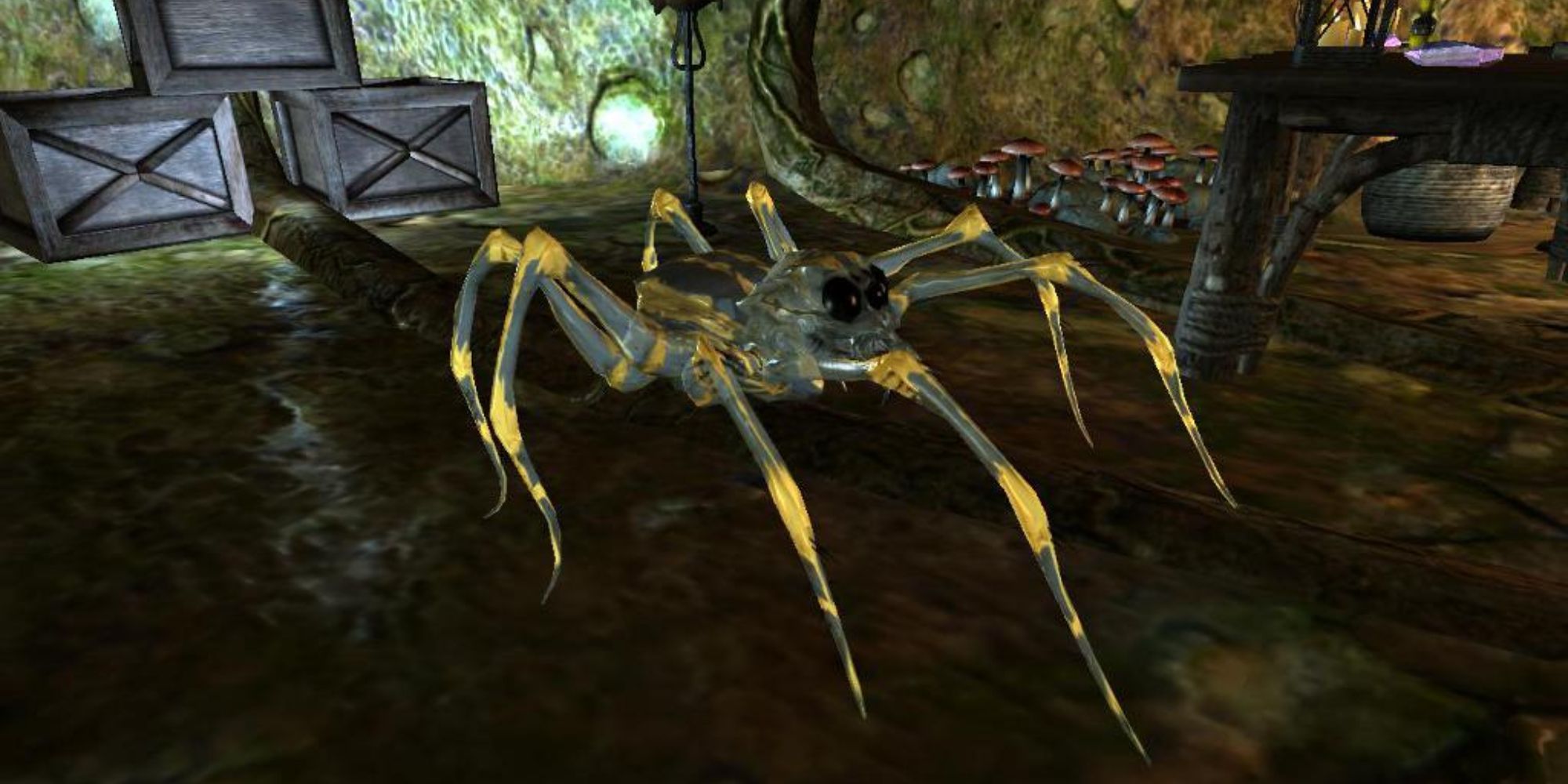 skyrim_pack spider in dungeon