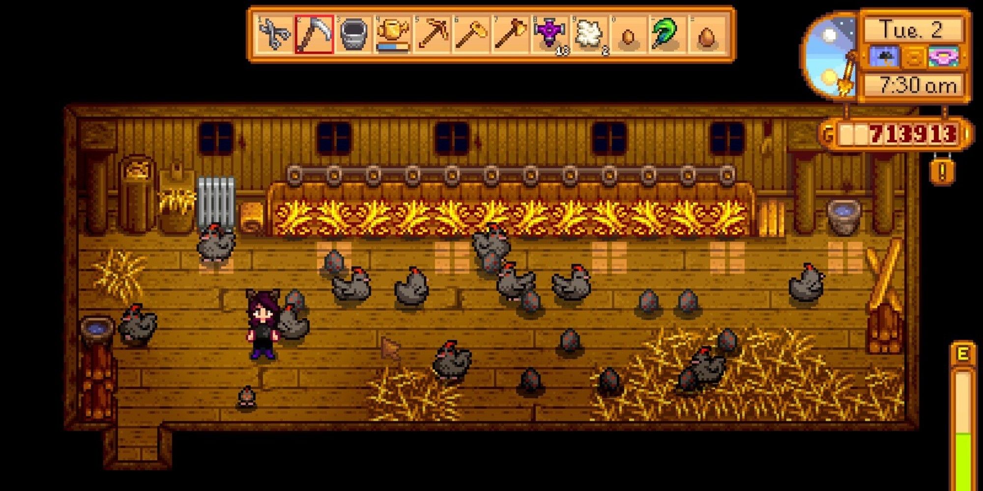 stardew valley coop with void chickens and their eggs