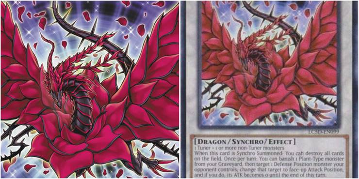 yugioh black rose dragon