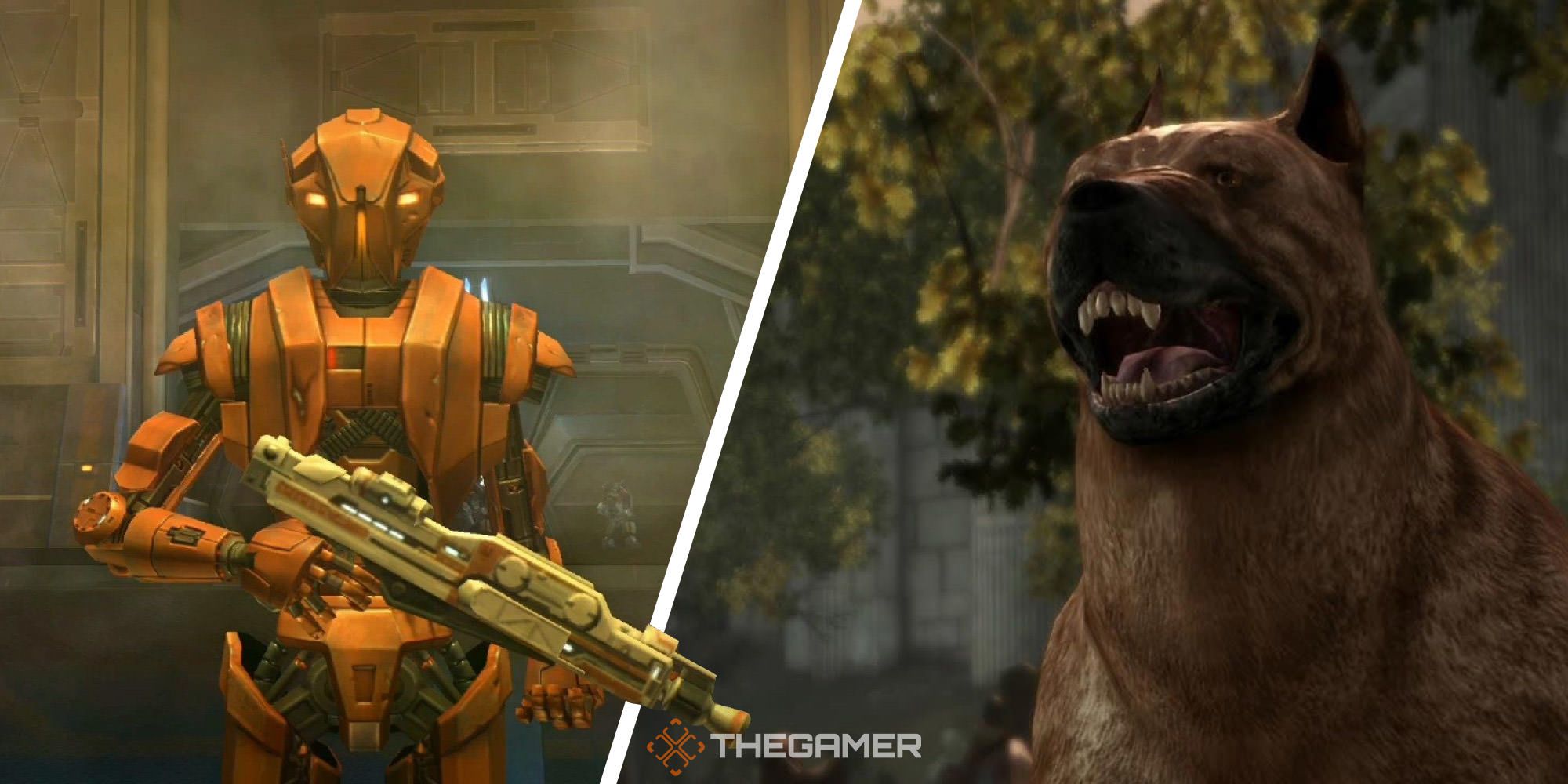 Split image of HK-47 from Star Wars: Knights of the Old Republic and Dog from Dragon Age