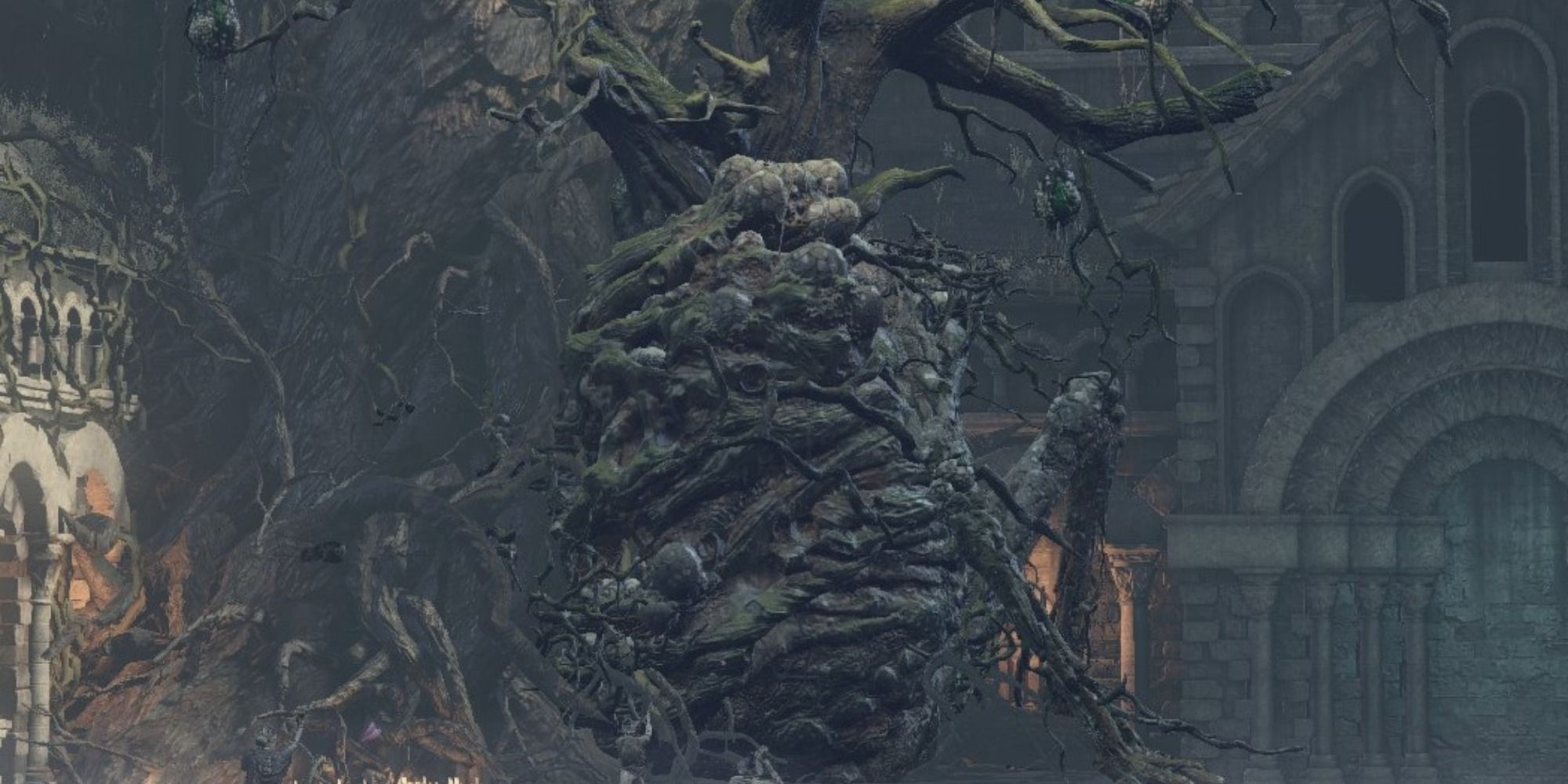 Curse-rotted Greatwood boss in Dark Souls 3 - A giant tree with limbs branching out of its pustule filled body.