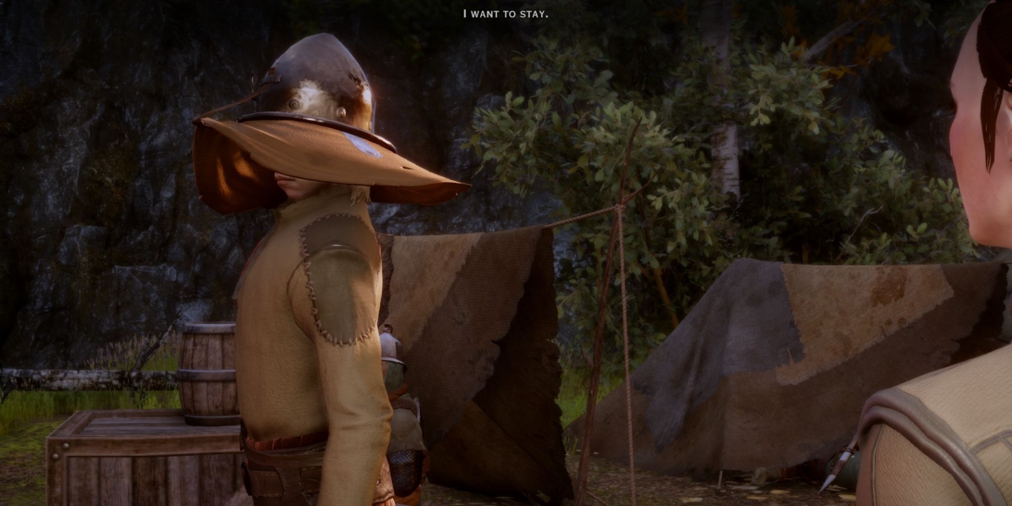 Dragon Age Inquisition - Cole saying he wants to stay