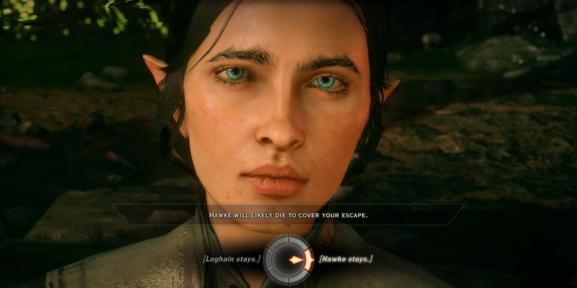 Dragon Age Inquisition - choosing to leave behind Hawke or Loghain