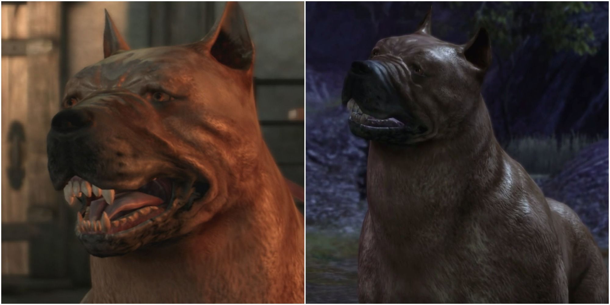 Split image Dragon Age: Origins Dog looks inquisitively at the Grey Warden awaiting instructions