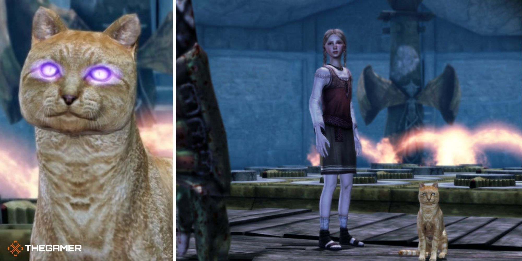 Dragon Age Origins Split Image - Amalia and Kitty