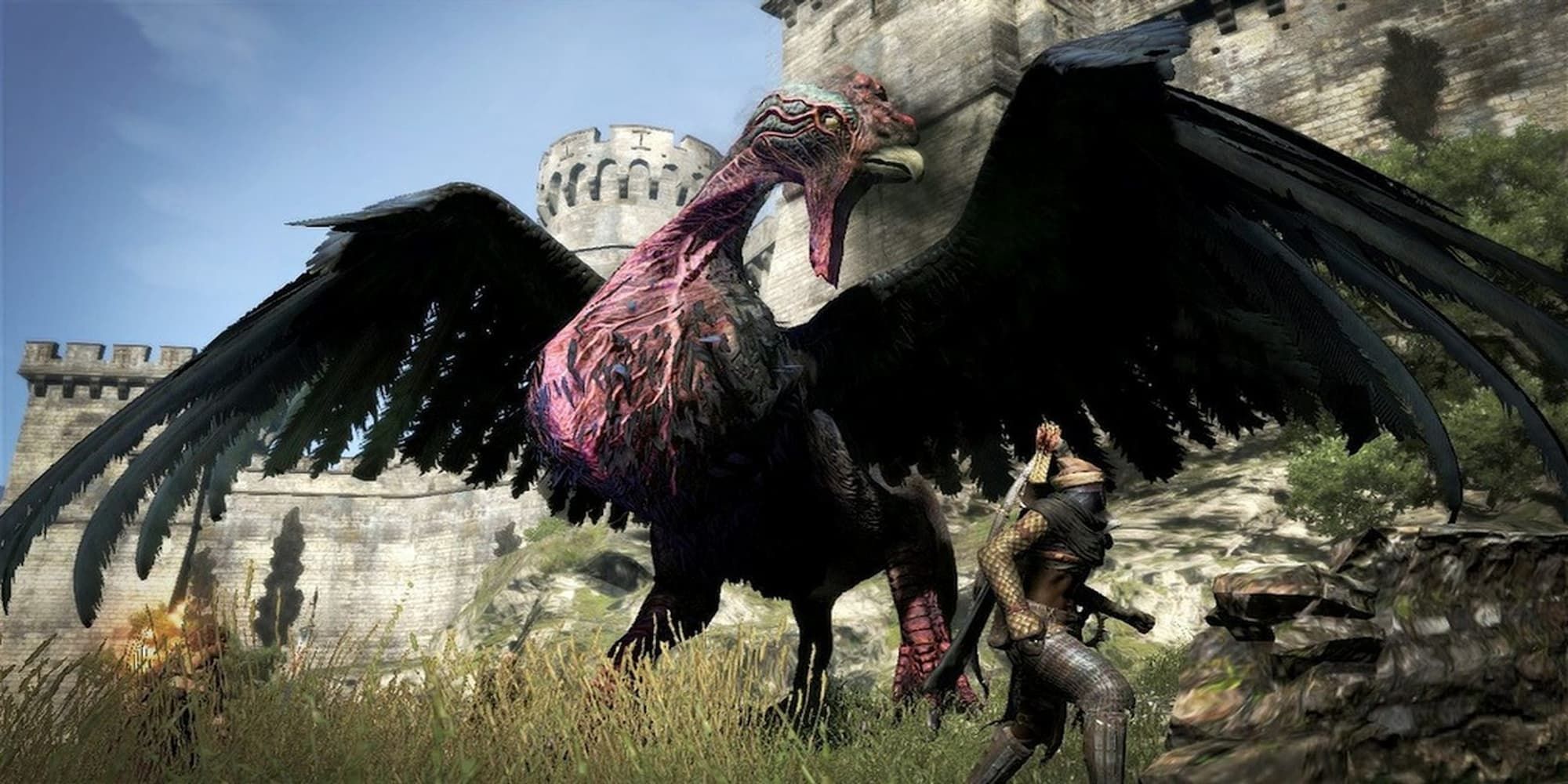 Dragon's Dogma cockatrice black body in front of large castle wings spread out head to side
