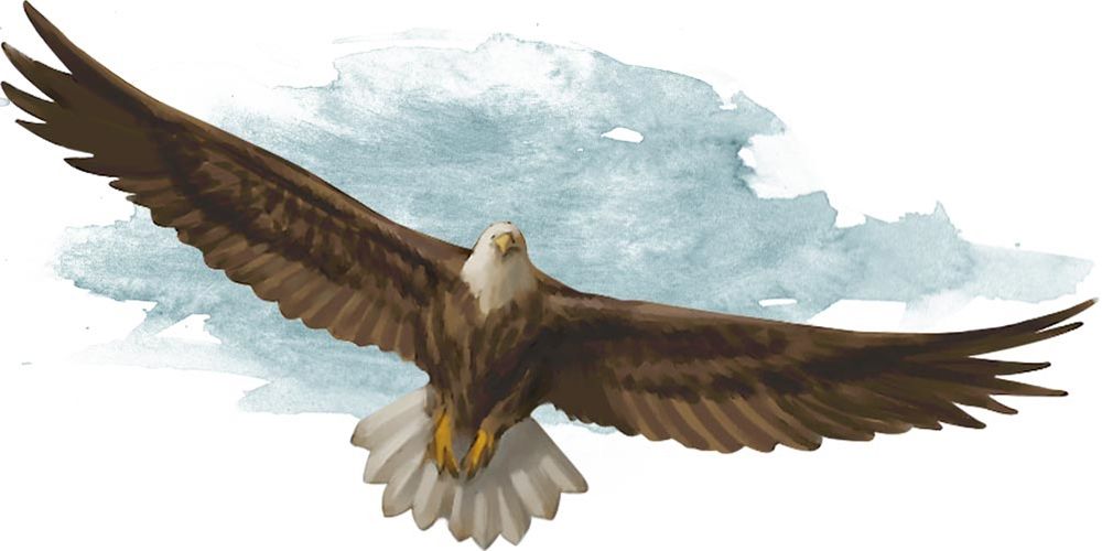 Dungeons & Dragons Giant Eagle flying in front of a cloudy background