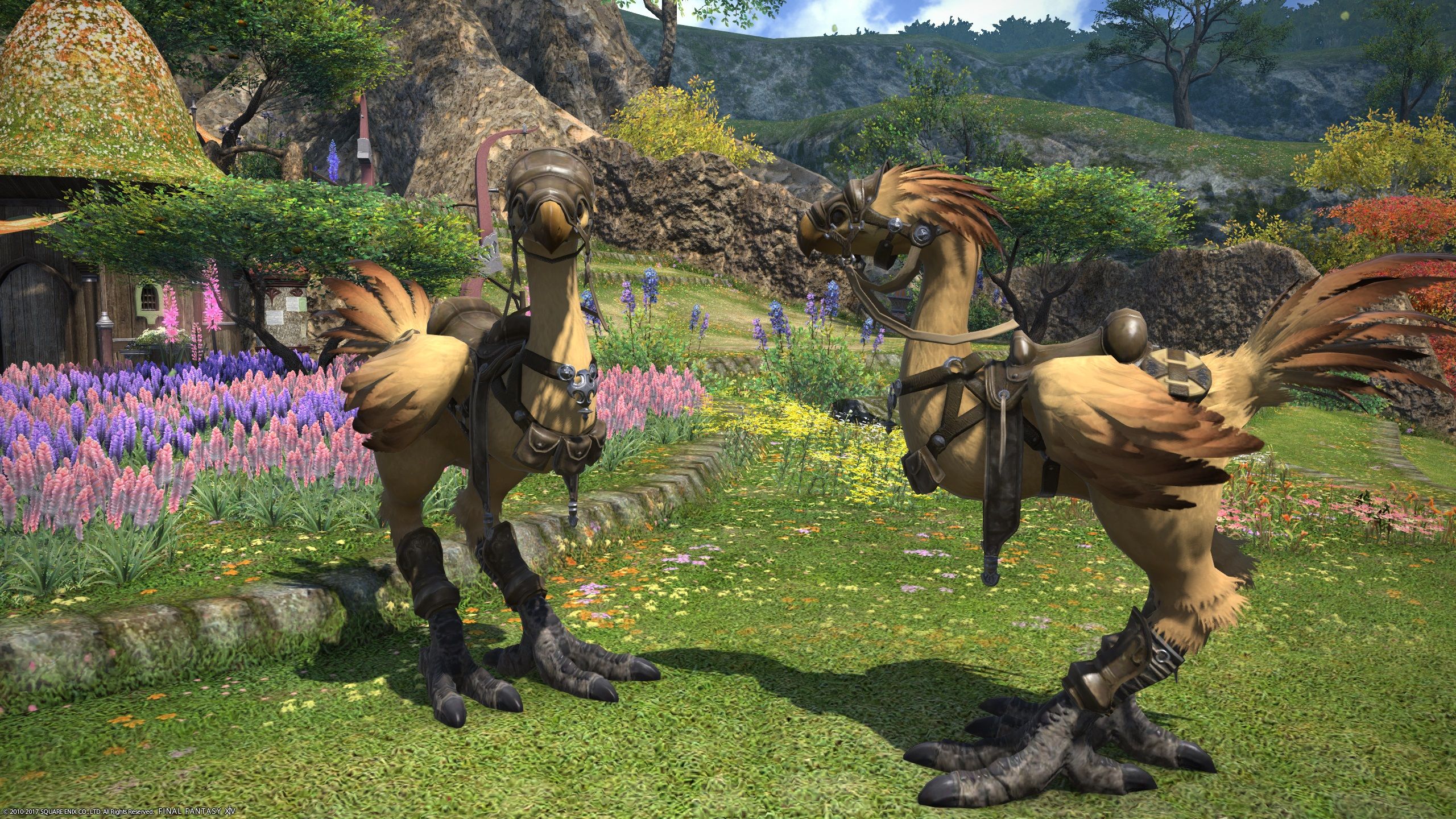 Final Fantasy 14 chocobos