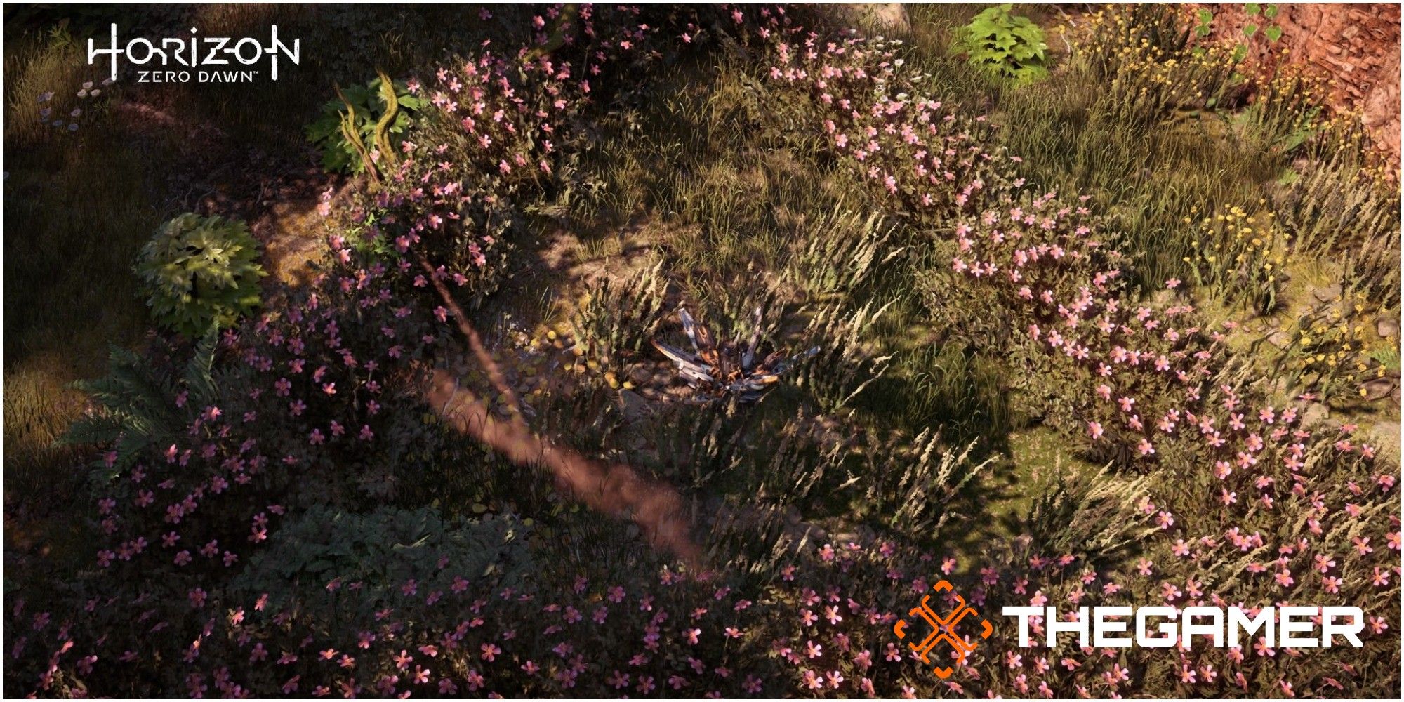 Horizon Zero Dawn Metal Flower Location Set One Metal Flower Five